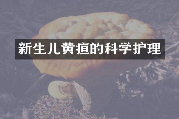 新生儿黄疸的科学护理