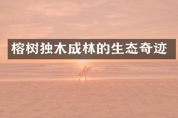 榕树独木成林的生态奇迹