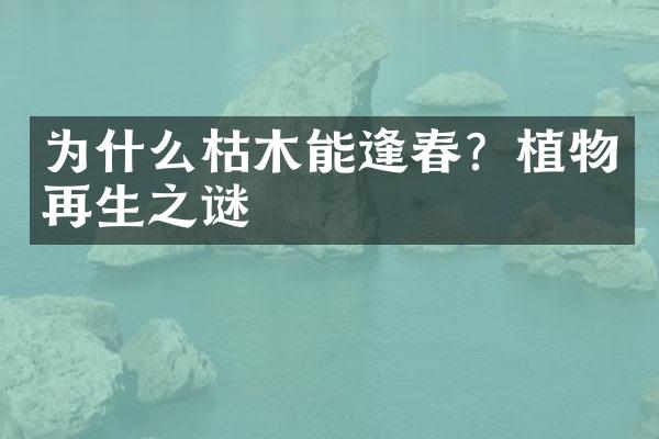 为什么枯木能逢春？植物再生之谜