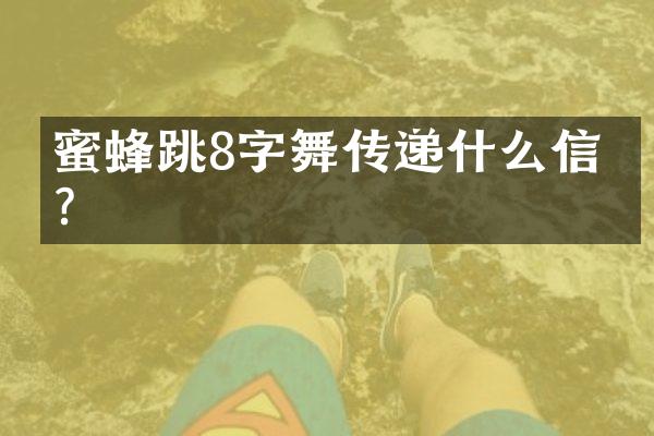 蜜蜂跳8字舞传递什么信息？