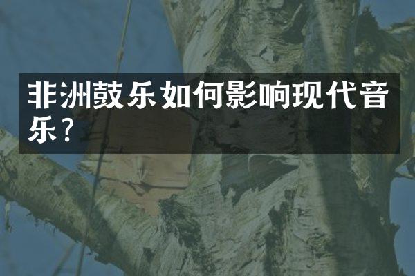 非洲鼓乐如何影响现代音乐？