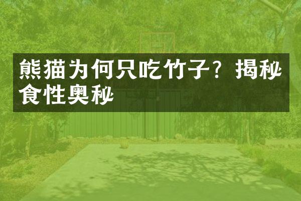 熊猫为何只吃竹子？揭秘食性奥秘