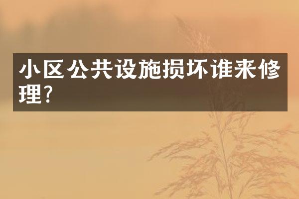 小区公共设施损坏谁来修理？