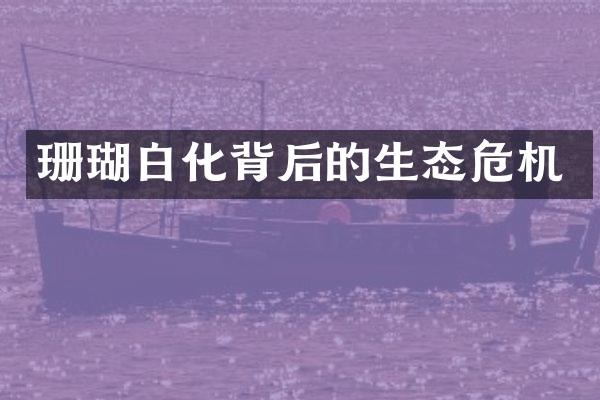 珊瑚白化背后的生态危机