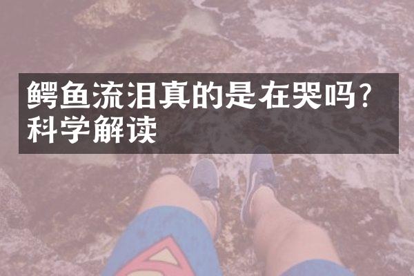 鳄鱼流泪真的是在哭吗？科学解读