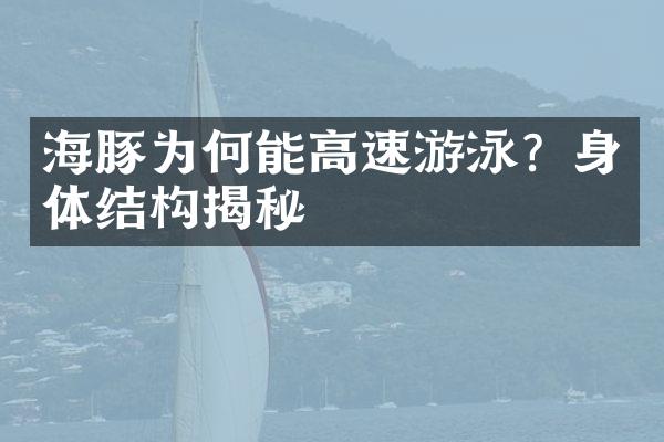 海豚为何能高速游泳？身体结构揭秘