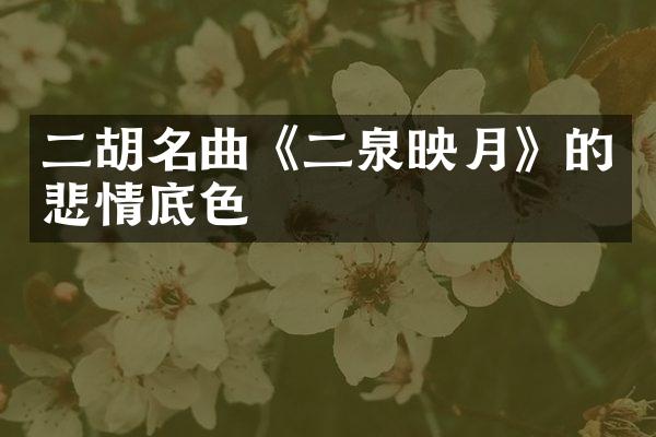 二胡名曲《二泉映月》的悲情底色
