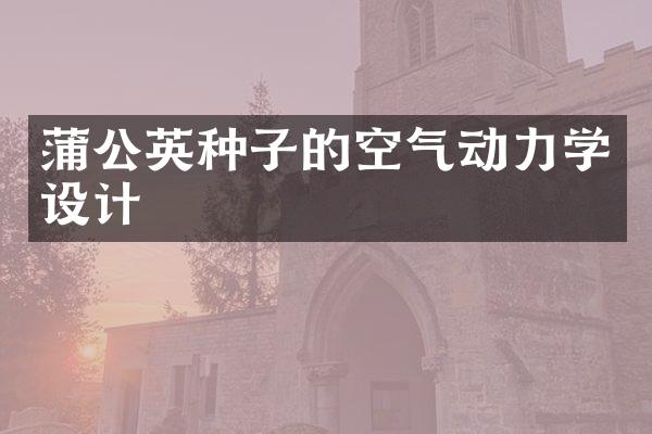 蒲公英种子的空气动力学设计