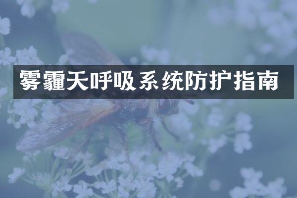 雾霾天呼吸系统防护指南