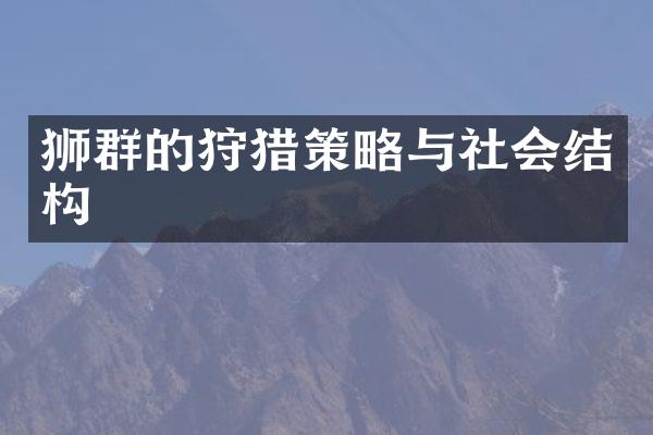 狮群的狩猎策略与社会结构