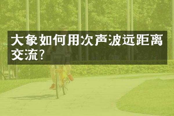 大象如何用次声波远距离交流？