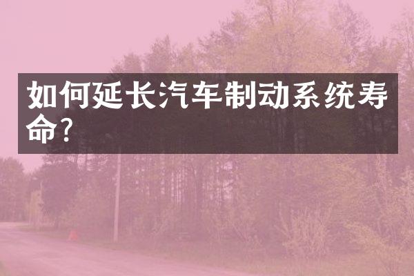 如何延长汽车制动系统寿命？