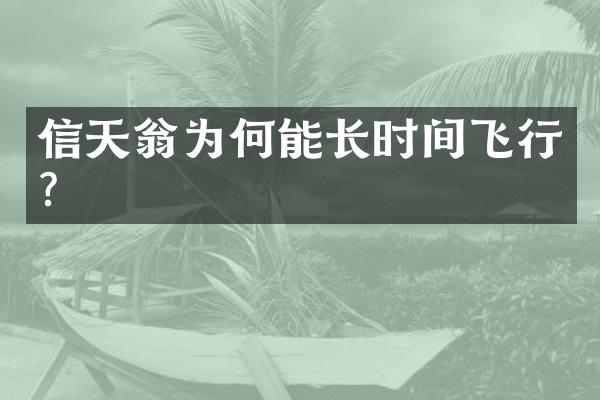 信天翁为何能长时间飞行？