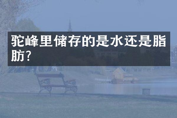 驼峰里储存的是水还是脂肪？