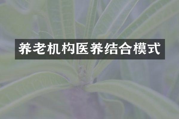 养老机构医养结合模式