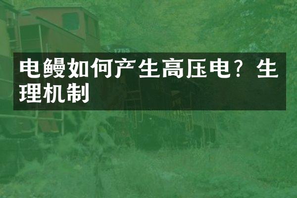 电鳗如何产生高压电？生理机制
