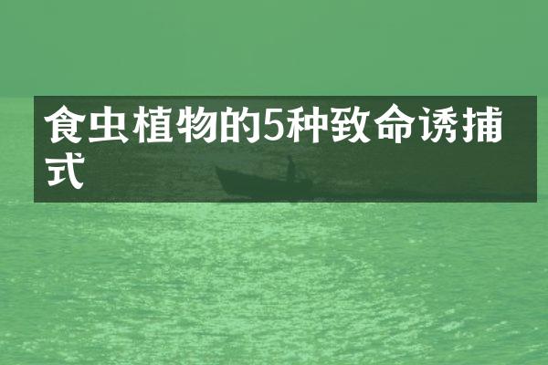 食虫植物的5种致命诱捕方式