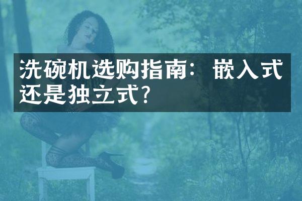 洗碗机选购指南：嵌入式还是独立式？