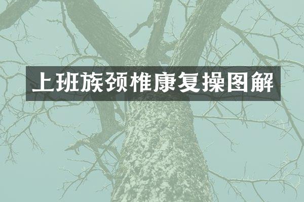 上班族颈椎康复操图解