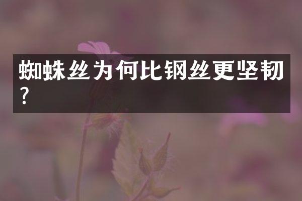 蜘蛛丝为何比钢丝更坚韧？