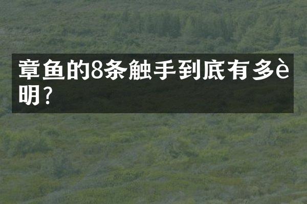 章鱼的8条触手到底有多聪明？