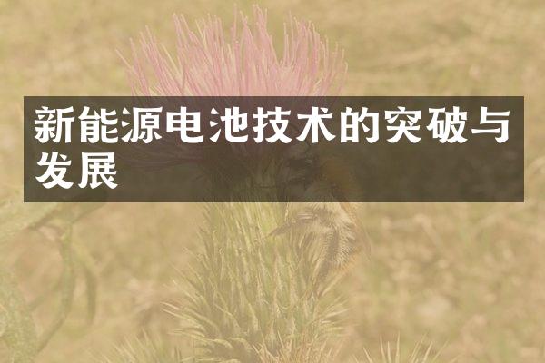 新能源电池技术的突破与发展