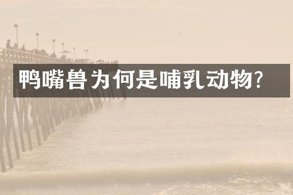 鸭嘴兽为何是哺乳动物？