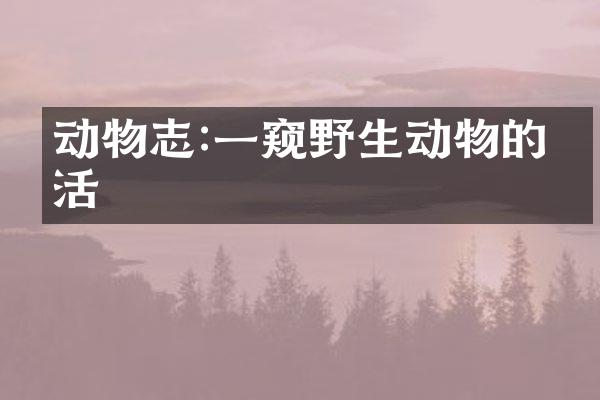 动物志:一窥野生动物的生活