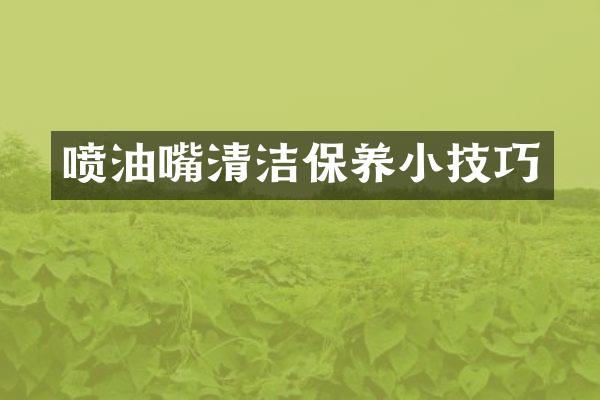 喷油嘴清洁保养小技巧