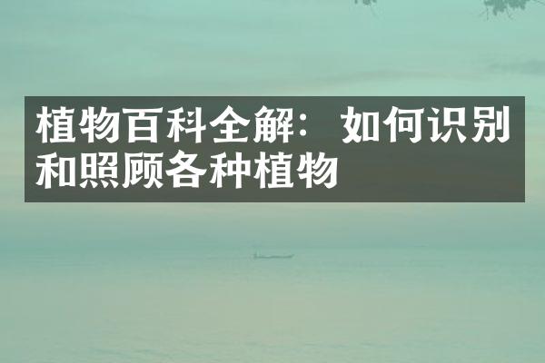 植物百科全解：如何识别和照顾各种植物