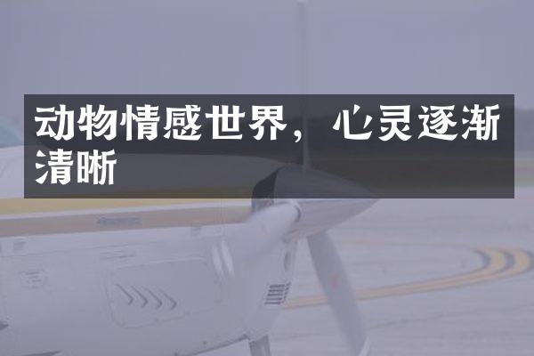 动物情感世界，心灵逐渐清晰