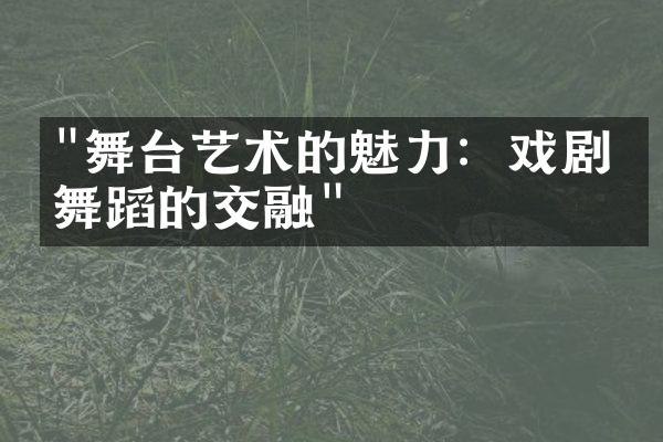 "舞台艺术的魅力：戏剧与舞蹈的交融"