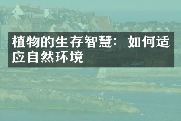植物的生存智慧：如何适应自然环境
