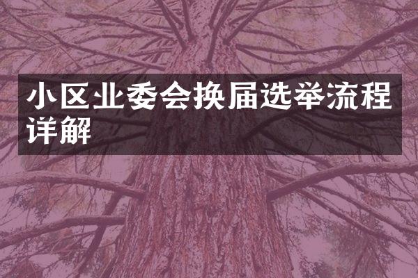 小区业委会换届选举流程详解