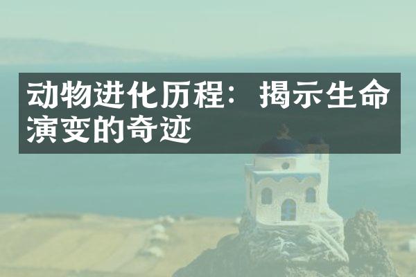 动物进化历程：揭示生命演变的奇迹