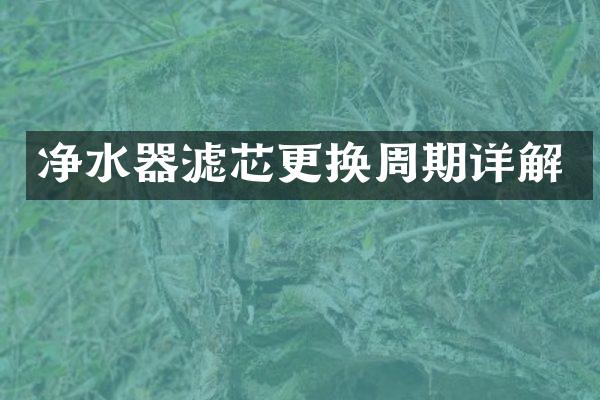 净水器滤芯更换周期详解