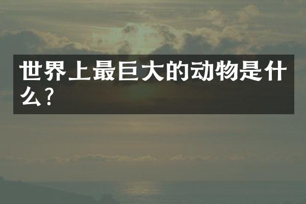 世界上最巨大的动物是什么？