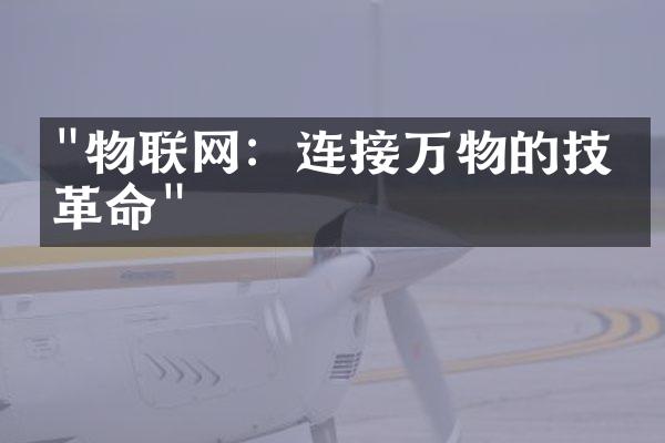 "物联网：连接万物的技术革命"
