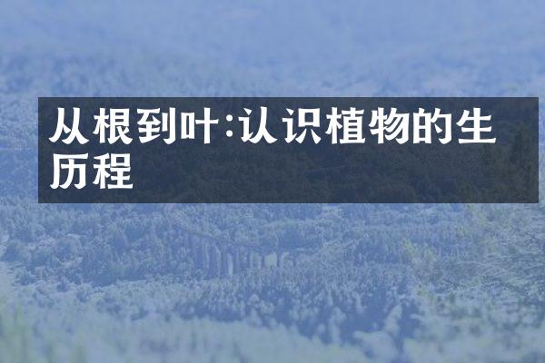 从根到叶:认识植物的生命历程