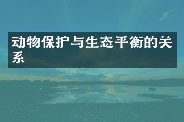 动物保护与生态平衡的关系