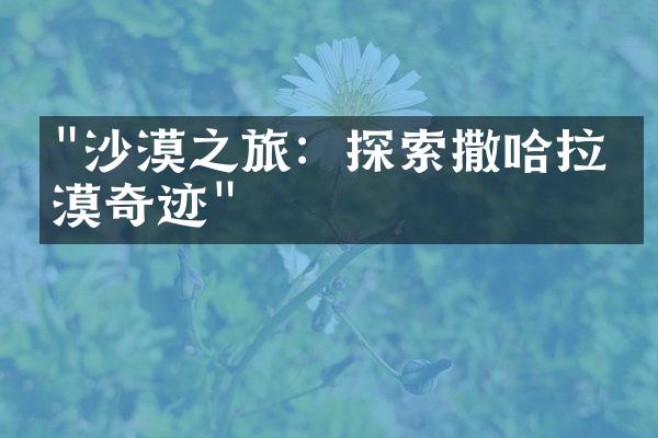 "沙漠之旅：探索撒哈拉沙漠奇迹"