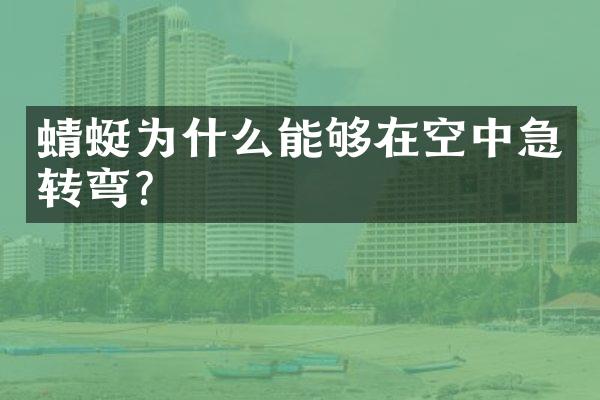 蜻蜓为什么能够在空中急转弯？