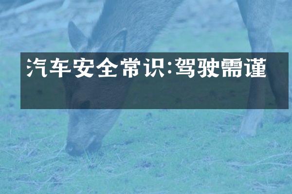 汽车安全常识:驾驶需谨慎