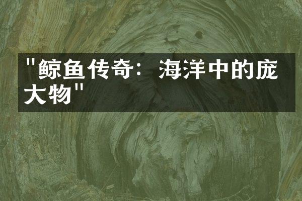 "鲸鱼传奇：海洋中的庞然大物"
