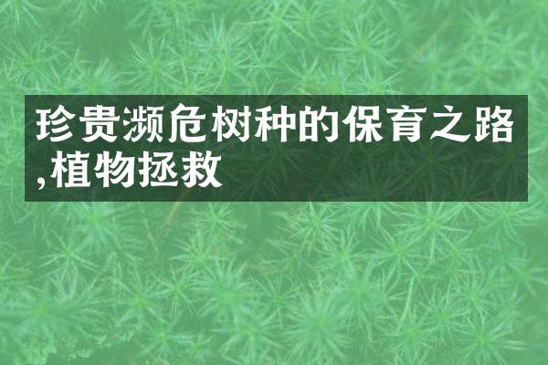 珍贵濒危树种的保育之路,植物拯救