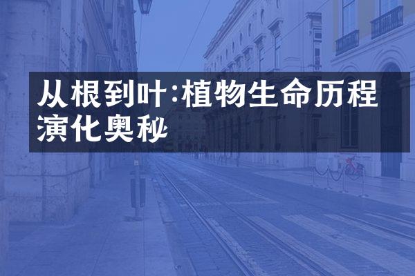 从根到叶:植物生命历程的演化奥秘