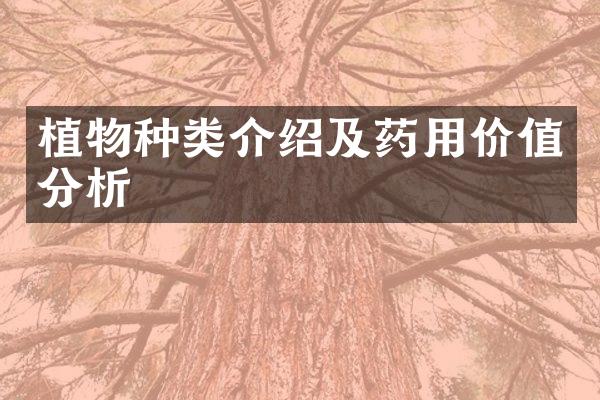 植物种类介绍及药用价值分析