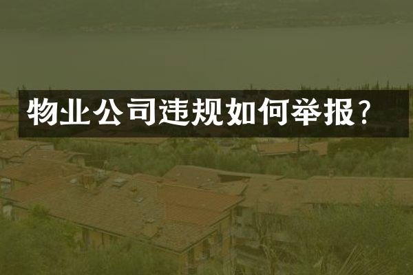 物业公司违规如何举报？