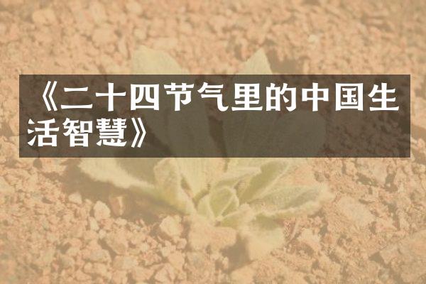 《二十四节气里的中国生活智慧》