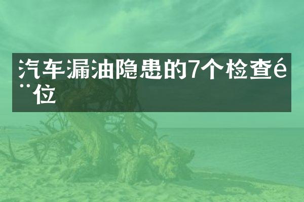 汽车漏油隐患的7个检查部位